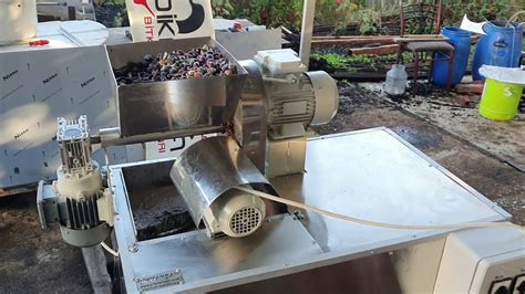 ev tipi zeytinyağı çıkarma makinesi